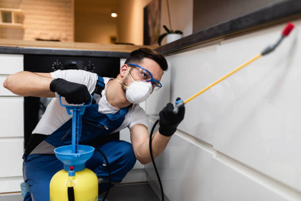Best Commercial Pest Control Services  in Washington Mills, NY