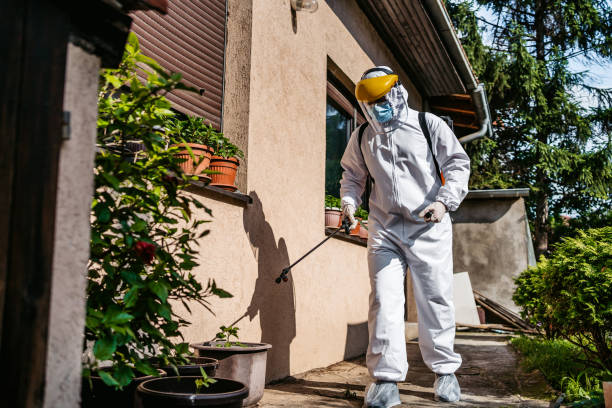 Wasp Removal Services in Washington Mills, NY
