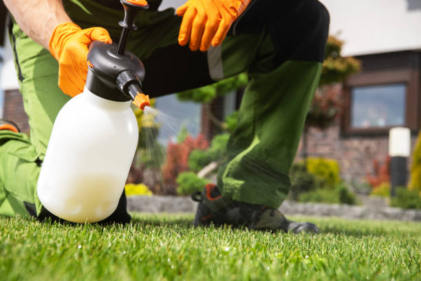 Best Affordable Pest Control Services  in Washington Mills, NY