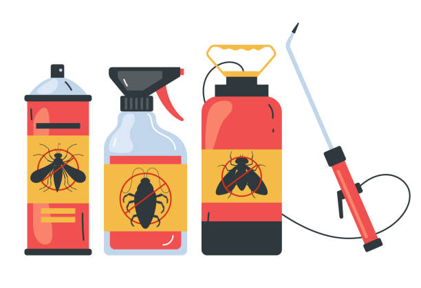Insect Control in Washington Mills, NY